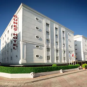 book here
