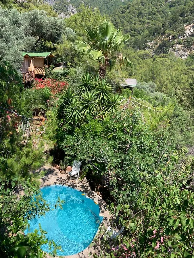 Turan Hill Lounge Hotel Faralya